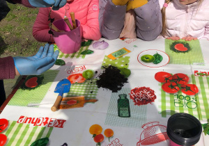 Dzieci sadzą pomidorki w doniczkach